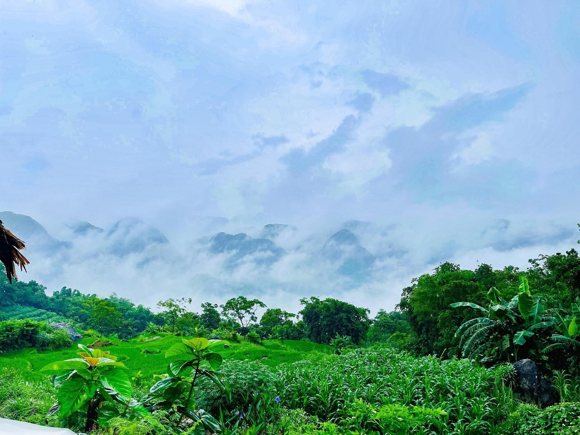 Pu Luong Jungle Lodge Eksteriør billede