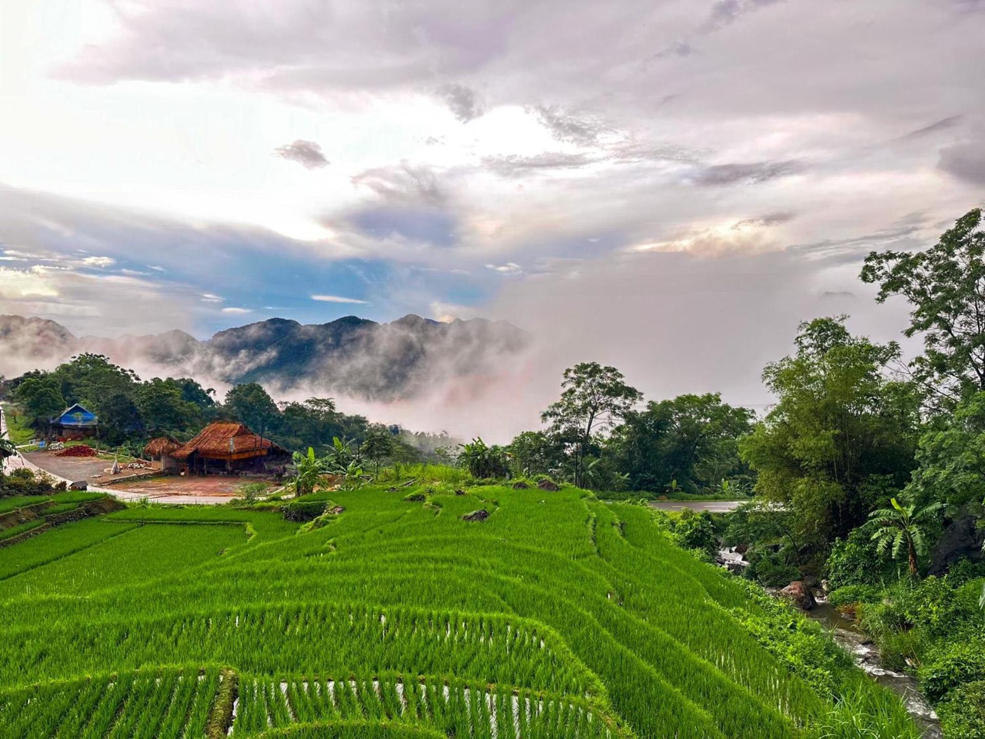 Pu Luong Jungle Lodge Eksteriør billede